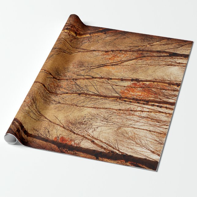 Herbstbäume Vintager Braunwaldwald Geschenkpapier (Ungerollt)