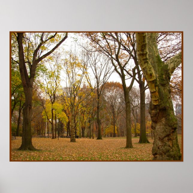 Herbstbaumen Print New York Landschaftsposter Poster (Vorne)