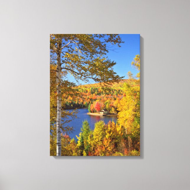 Herbstbaumlandschaft, Maine Leinwanddruck (Vorderseite)
