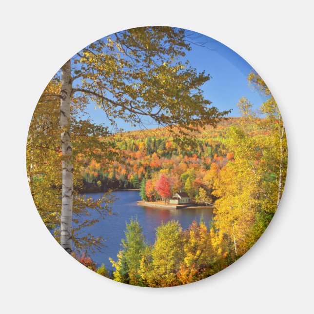 Herbstbaumlandschaft, Maine Magnet (Vorne)