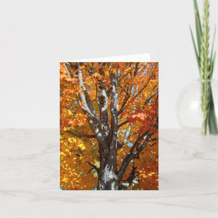 Herbstbaumschatten-Merkkarte Dankeskarte