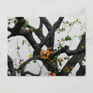 Herbstbaumzweige Postkarte