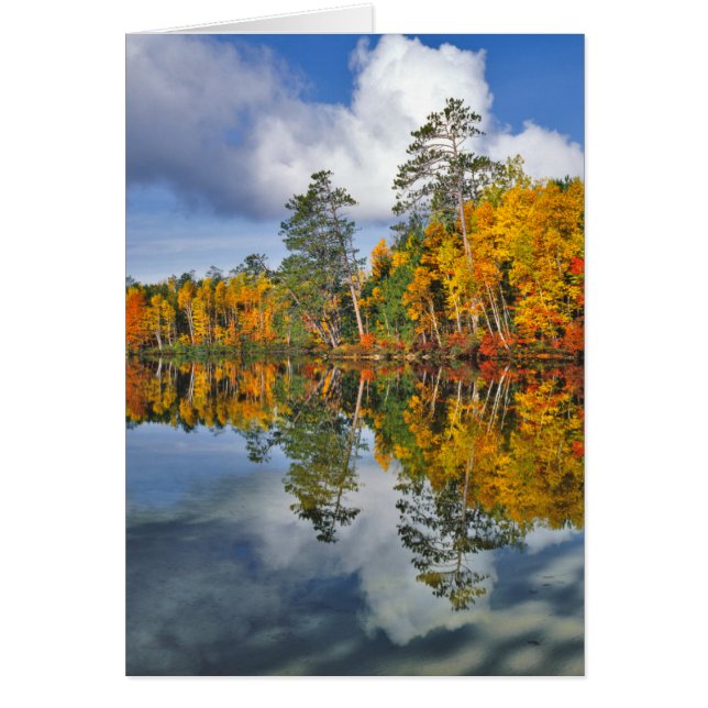 Herbstbeckenreflektionen, Maine (Vorne)