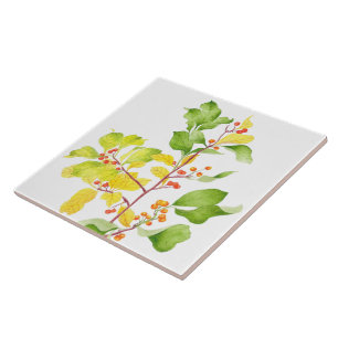 Herbstbeeren auf einer Keramik Fliese