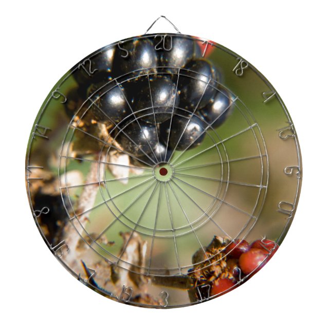 Herbstbeeren Dartscheibe (vorne)