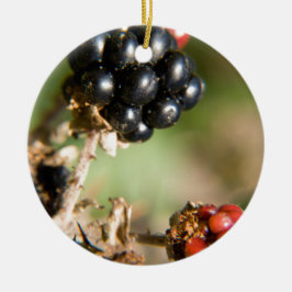 Herbstbeeren Keramikornament