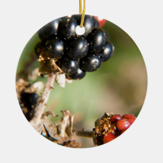 Herbstbeeren Keramikornament (Vorne)