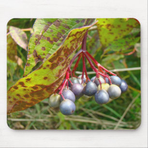 Herbstbeeren Mousepad