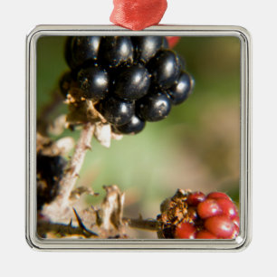 Herbstbeeren Ornament Aus Metall