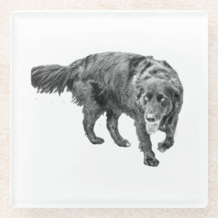 Herbstbeobachtung unter den Blätter Glasuntersetzer