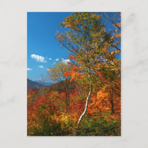 Herbstbilder Postkarte