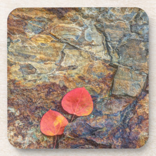 Herbstblatt auf Felsen, Kalifornien Untersetzer