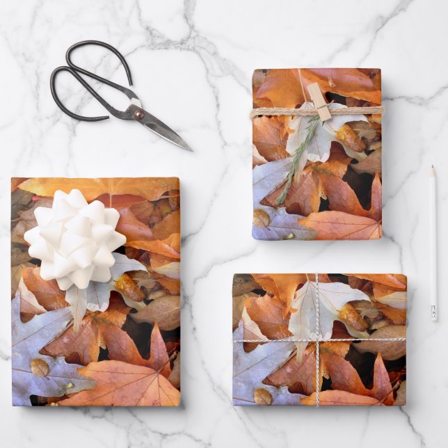Herbstblatt Geschenkpapier Set (Vorderseite)