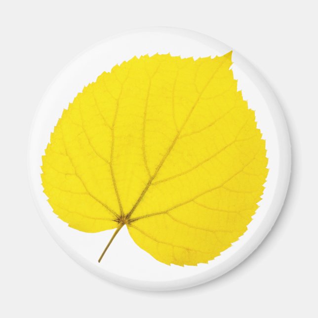 Herbstblatt Magnet (Vorne)