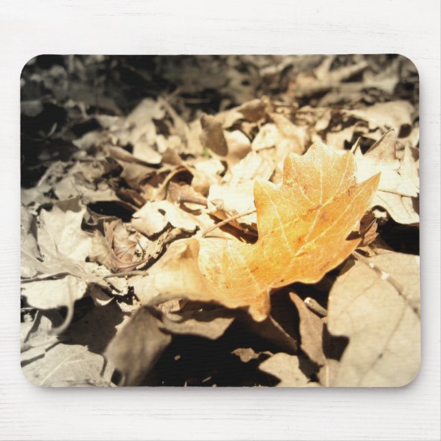Herbstblatt Mousepad (Vorne)