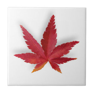 Herbstblatt Roter Single Fliese
