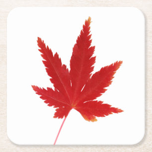 Herbstblatt Roter Single Rechteckiger Pappuntersetzer