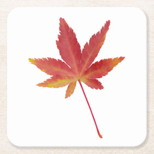 Herbstblatt Roter Single Rechteckiger Pappuntersetzer