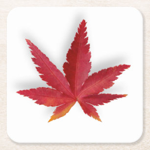 Herbstblatt Roter Single Rechteckiger Pappuntersetzer