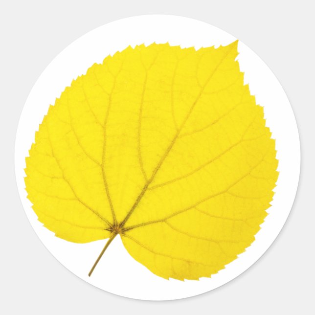 Herbstblatt Runder Aufkleber (Vorderseite)