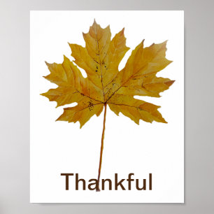 Herbstblatt Tanzfarben Poster