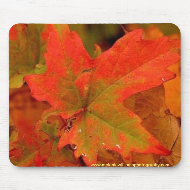 Herbstblattauflage Mousepad (Vorne)
