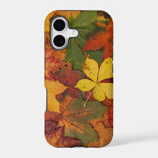 Herbstblätter