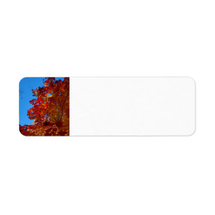 Herbstblätter