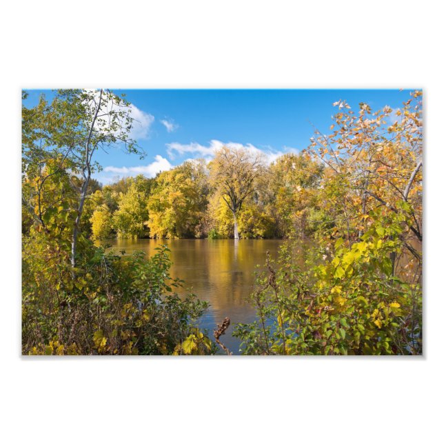 Herbstblätter am Minnesota-Fluss Fotodruck (Vorne)