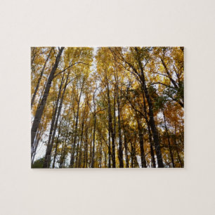 Herbstblätter am Morgen Maryland Natur Puzzle