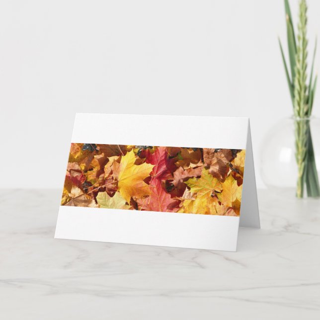 Herbstblätter - Atemberaubend! Feiertagskarte (Vorderseite)