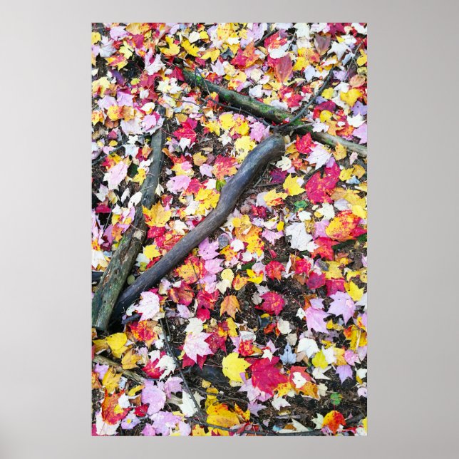 Herbstblätter auf dem Boden Poster (Vorne)