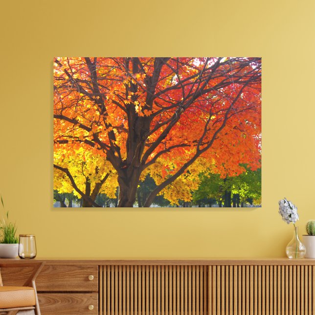 Herbstblätter aus Gelb- und Orangenbäumen, Foto Leinwanddruck (Insitu (Wohnzimmer))
