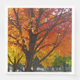 Herbstblätter aus Gelb- und Orangenbäumen, Foto Serviette