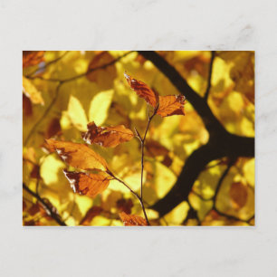 Herbstblätter aus gelbem Senf Postkarte