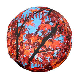 Herbstblätter Baseball