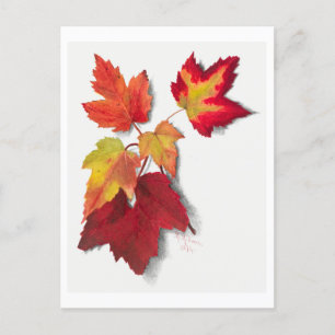 Herbstblätter Botanische Illustration Postkarte
