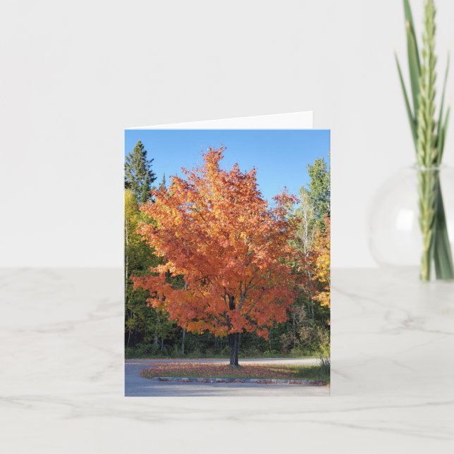 Herbstblätter Dankeskarte (Vorderseite)