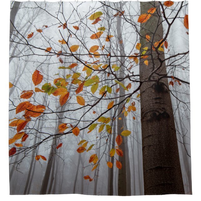 Herbstblätter fallen unter Waldblatt Duschvorhang (Vorderseite)