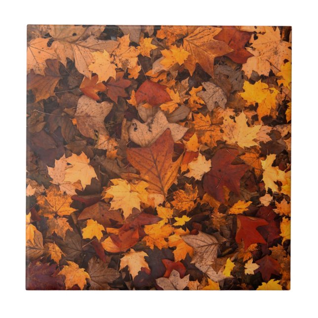 Herbstblätter Fliese (Vorderseite)