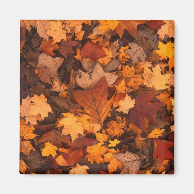 Herbstblätter-Foto Magnet (Vorne)