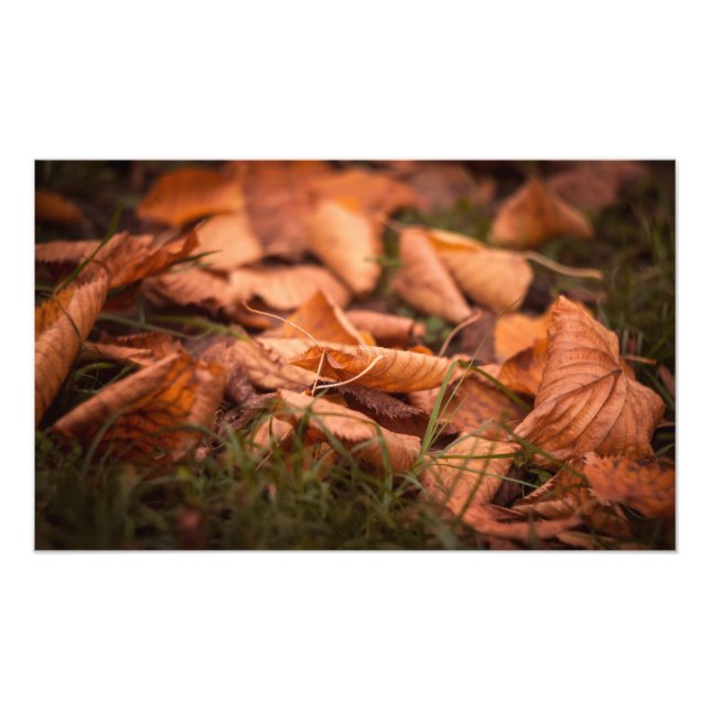 Herbstblätter Fotodruck (Vorne)