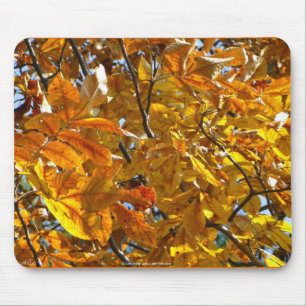 Herbstblätter Gold Geschenke Bekleidung Sammelobje Mousepad