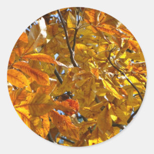 Herbstblätter Gold Geschenke Bekleidung Sammelobje Runder Aufkleber