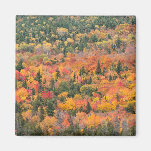 Herbstblätter Halbinsel Keweenaw, Michigan Magnet