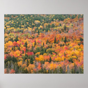 Herbstblätter Halbinsel Keweenaw, Michigan Poster