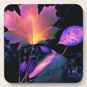 Herbstblätter in Neon Untersetzer