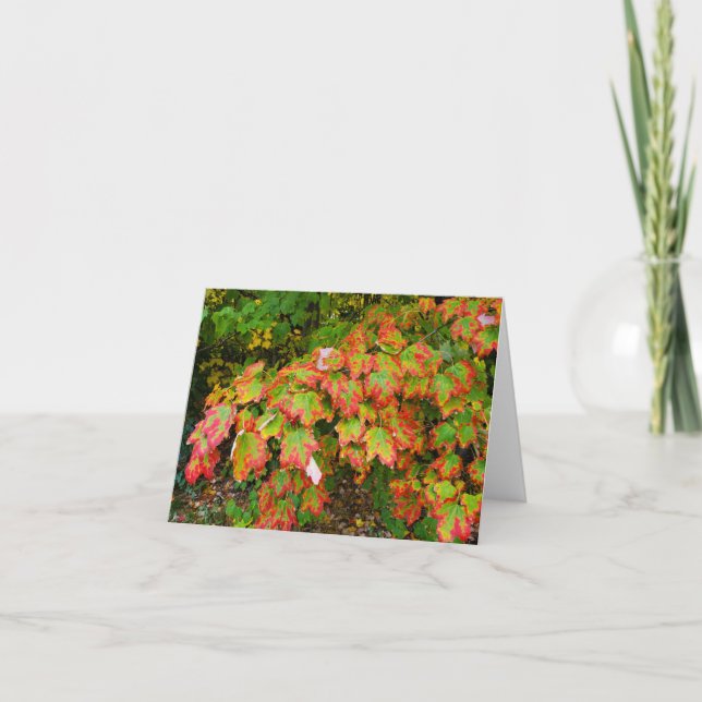 Herbstblätter Karte (Vorderseite)