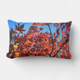 Herbstblätter Kissen Für Draußen