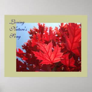 Herbstblätter Kunst Liebt Natursong Roten Blättern Poster